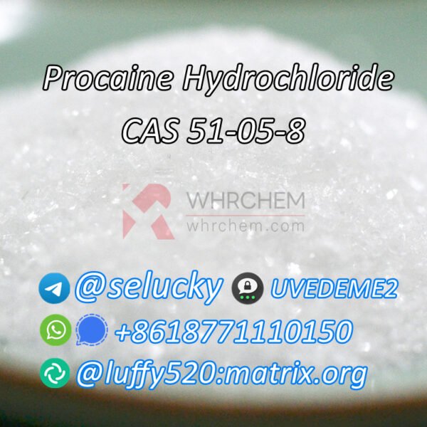 Procaine Hydrochloride CAS 51-05-8