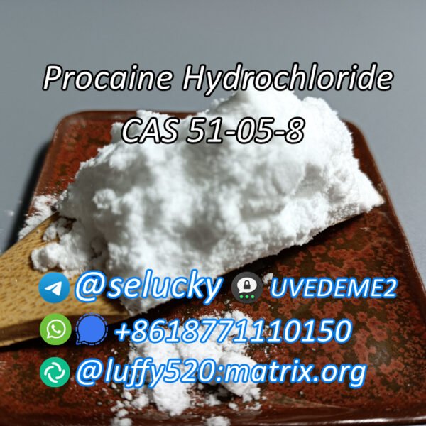 Procaine Hydrochloride CAS 51-05-8