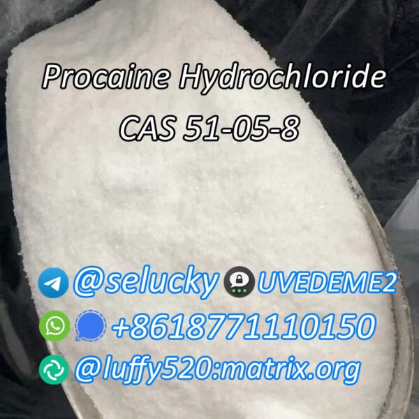 Procaine Hydrochloride CAS 51-05-8